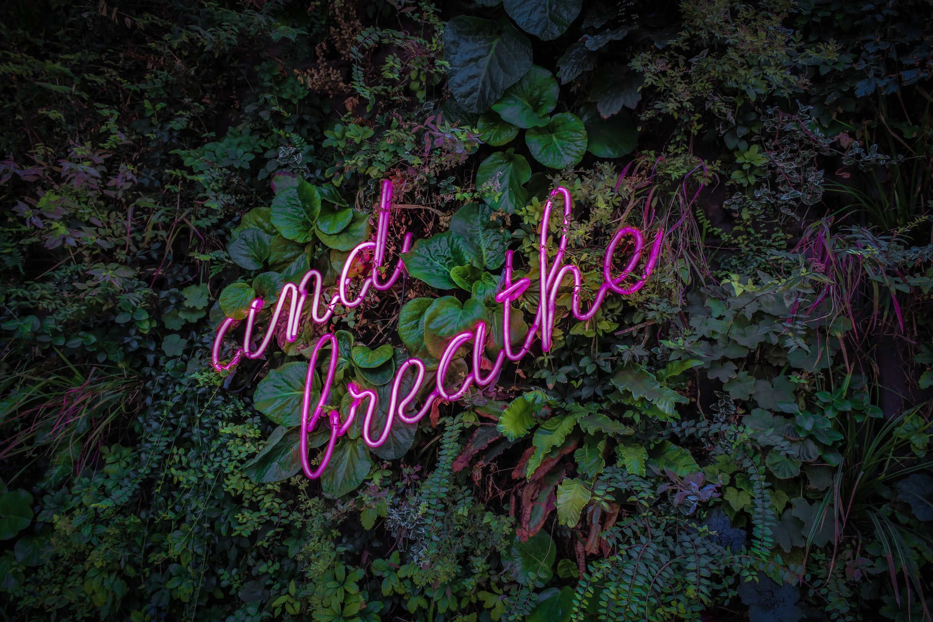 5 Breathing Techniques
